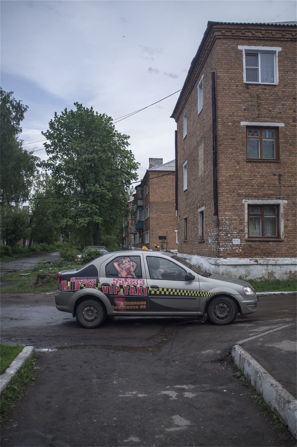 Белгородская засечная черта фото