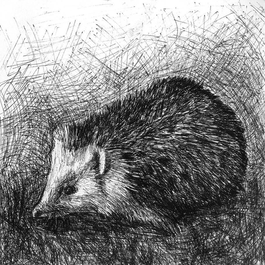 Ежиклопедия,  — discours.io