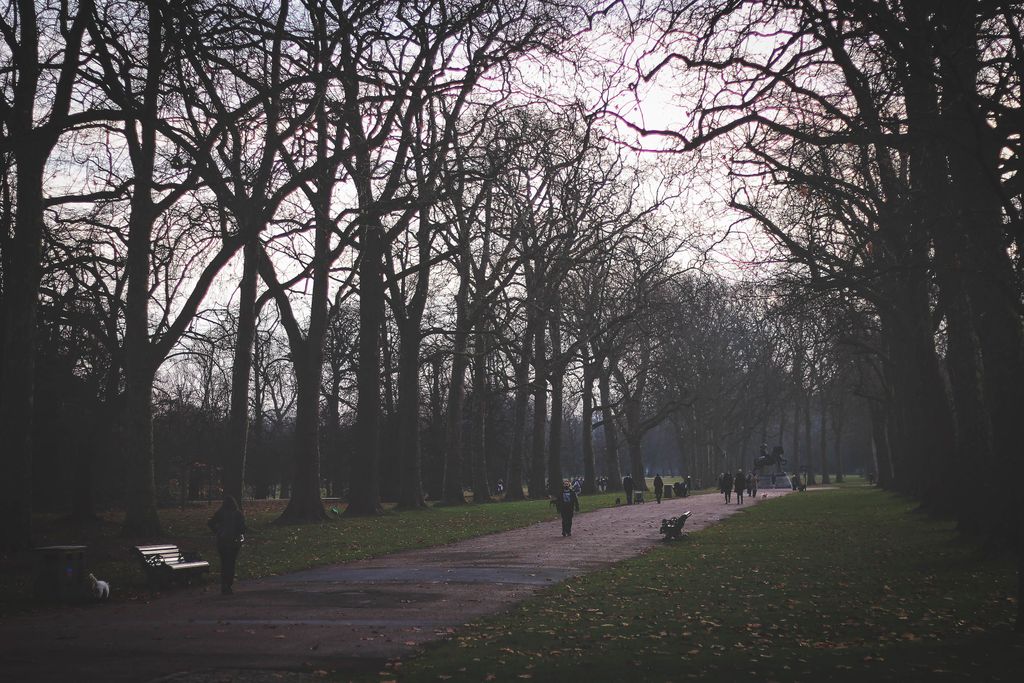 Калейдоскоп, London, december'16 — discours.io