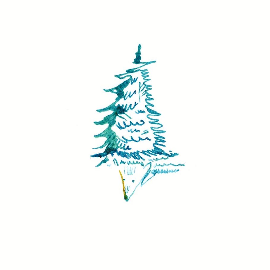 Ежиклопедия, Древоёж — discours.io