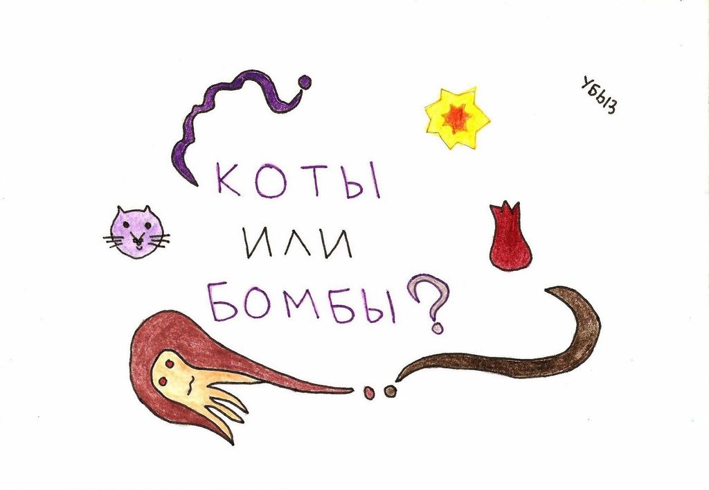 Вопросы, Коты или бомбы? — discours.io