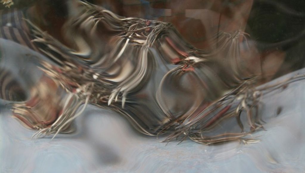 Through the Looking Glass,  — discours.io