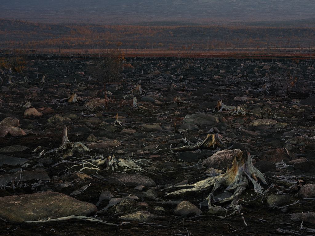 «Разговаривающим в храме посылаются печали и скорби». Фотопроект о современной православной вере в России,  — discours.io