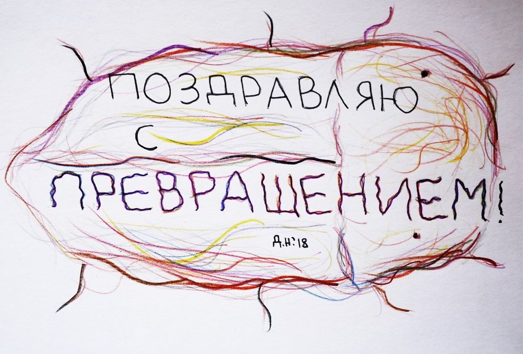Полезный набор поздравительных открыток, Поздравление с превращением — discours.io