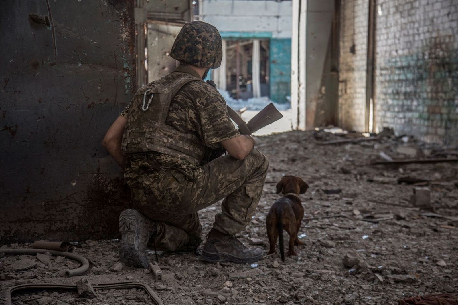 Украинский военнослужащий с собакой сидит на позиции в промышленной зоне города Северодонецка. 20 июня / Oleksandr Ratushniak / Reuters