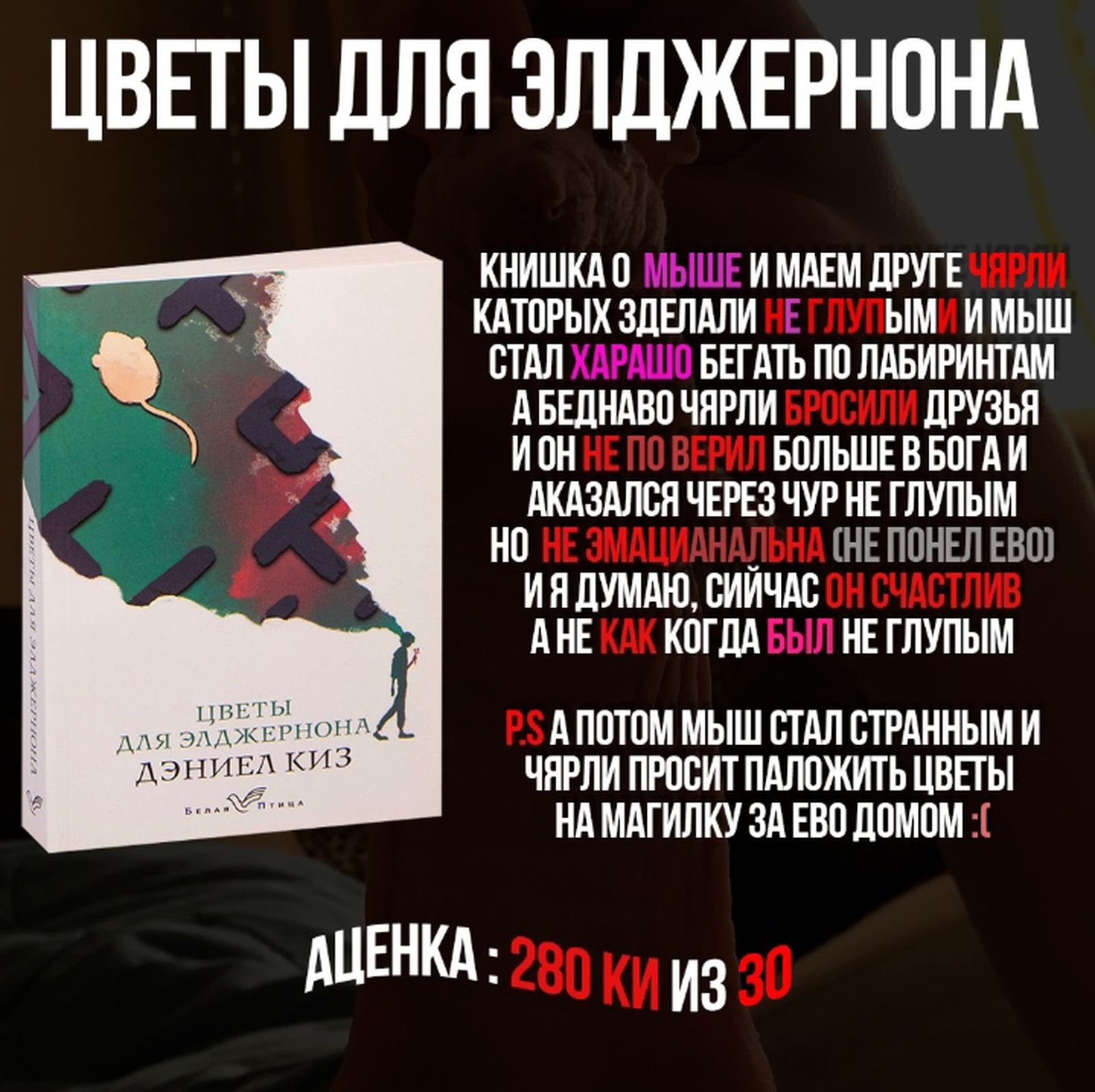 «Книги для быдла». Основатель сатирического литературного паблика об альтернативной популяризации чтения «Книги для быдла». Основатель сатирического литературного паблика об альтернативной популяризации чтения