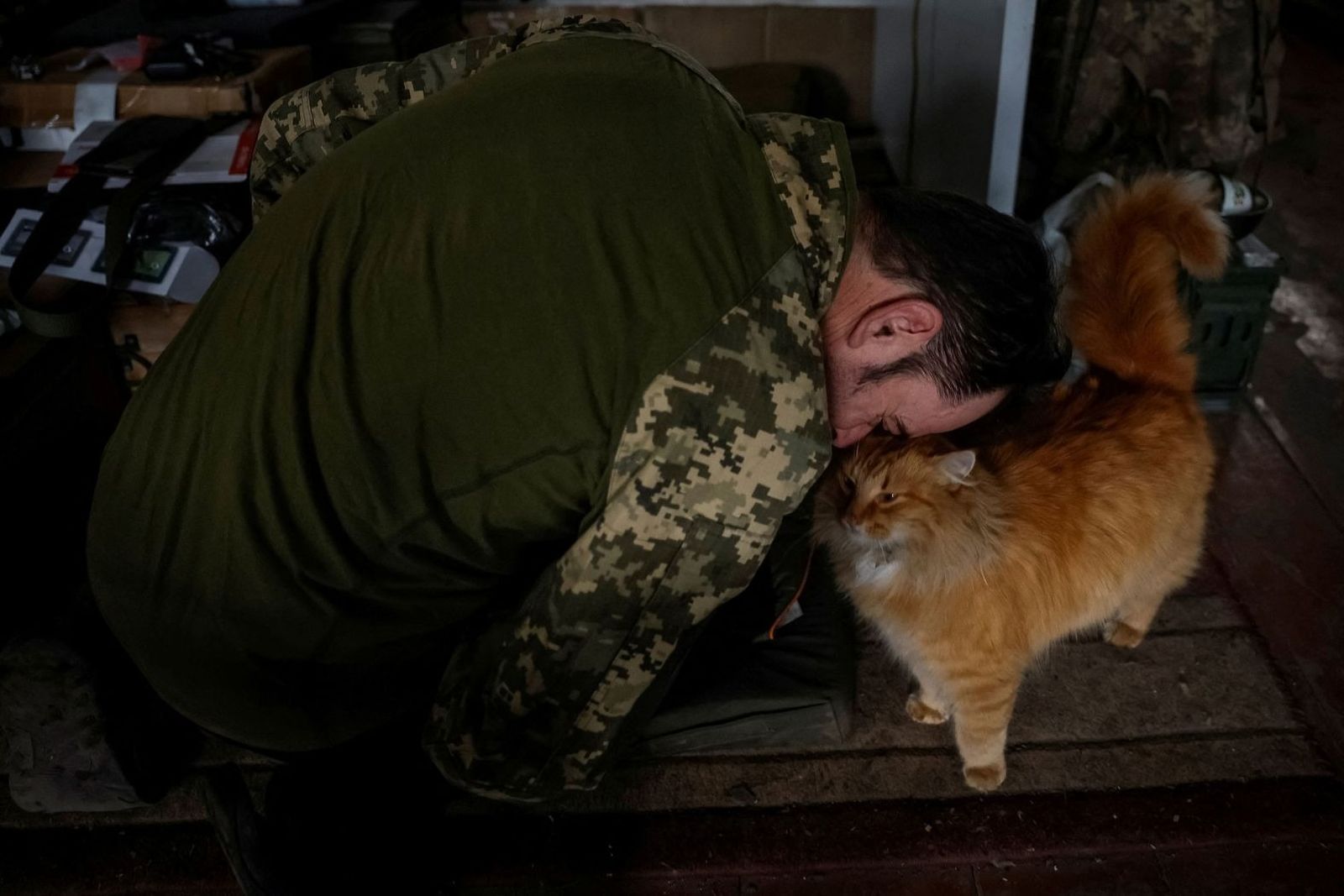 Украинский военнослужащий играет с кошкой, которую его подразделение спасло на передовой. 8 февраля / Alina Smutko / Reuters