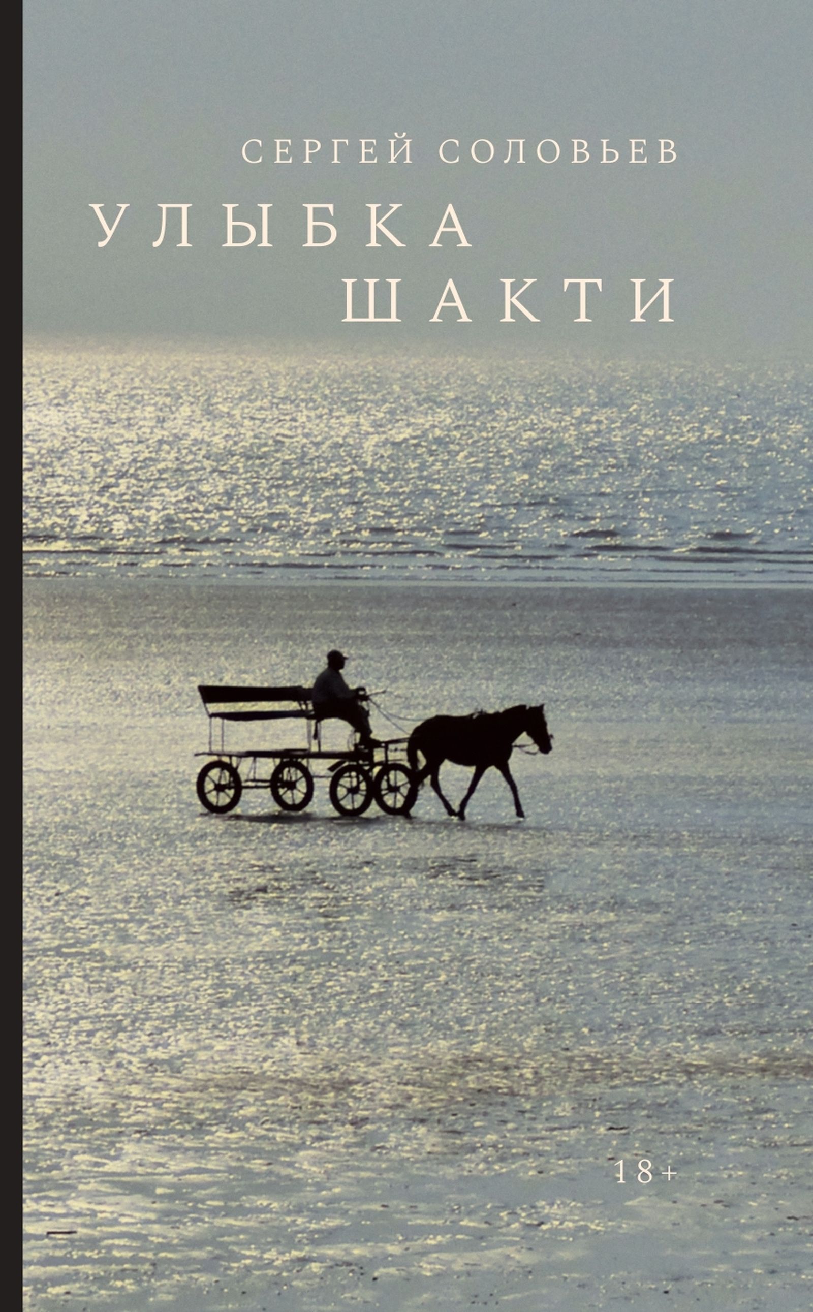Обложка книги «Улыбка Шакти» (2022), выходящей в издательстве НЛО / Размещается с разрешения автора