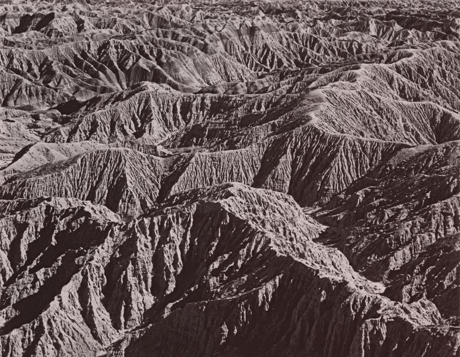 Бесплодные земли, пустыня Боррего, 1938. Фотограф Эдвард Уэстон