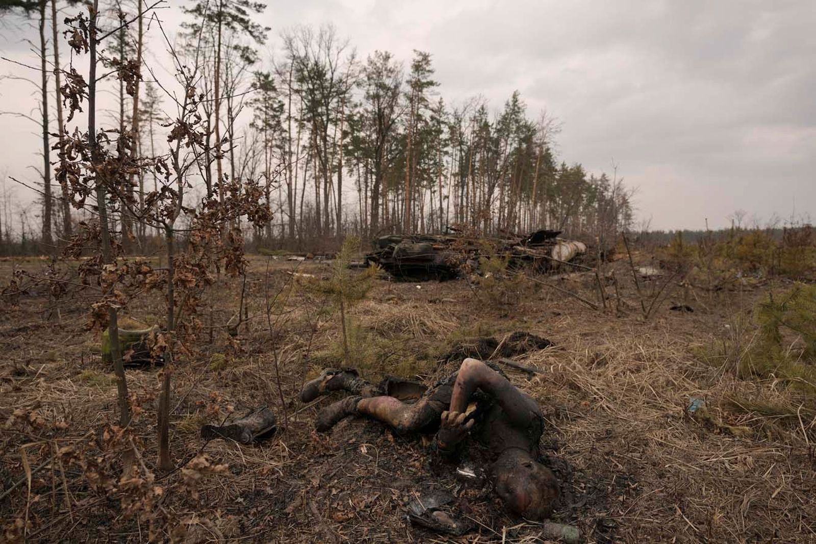 Брошенные тела российских военнослужащих лежат в поле после того как их позиции под Киевом обстреляли украинские войска. Минобороны РФ не раскрывает данные о погибших россиянах уже с 25 марта — тогда заявлялось о 1351 погибшем. В то же время правител