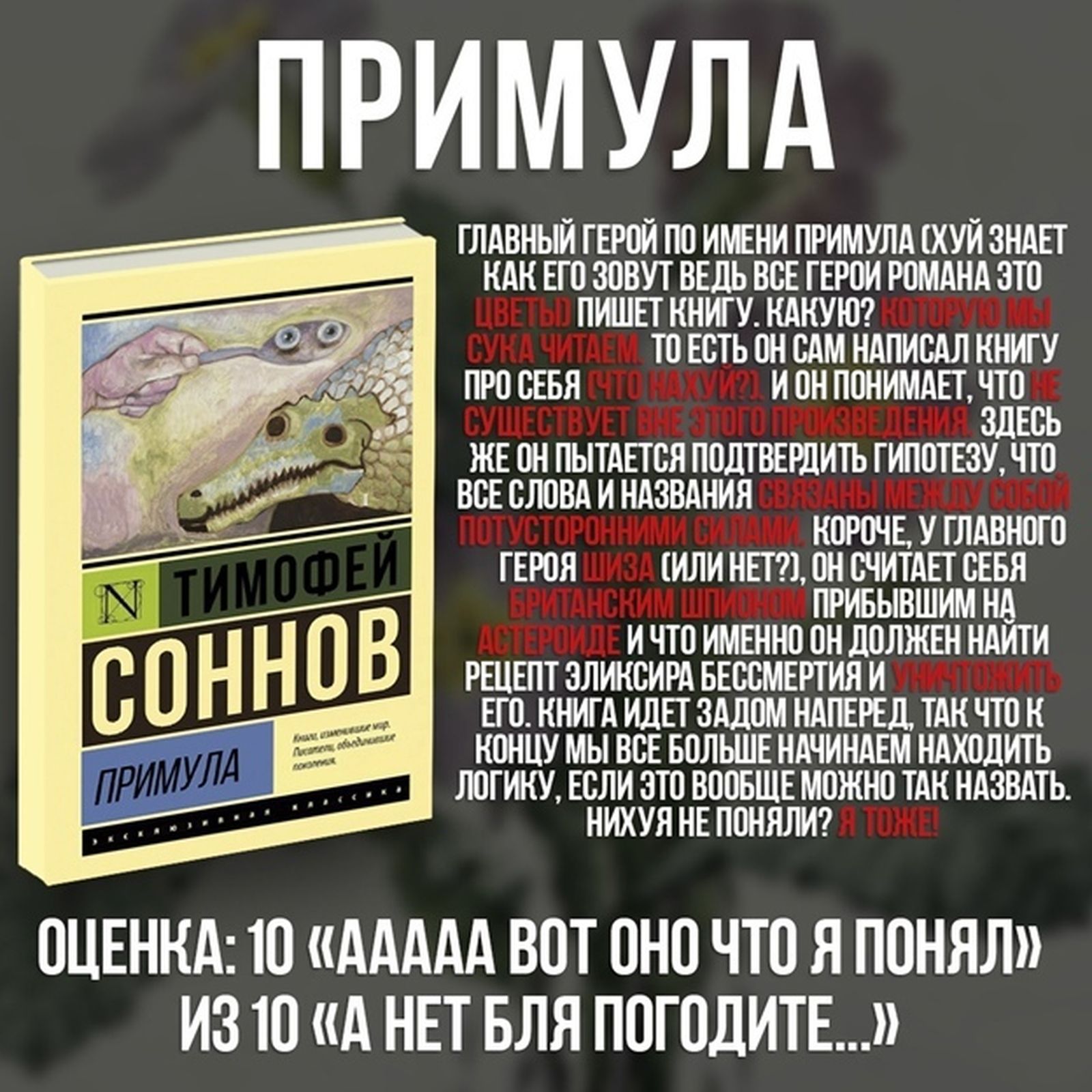 «Книги для быдла». Основатель сатирического литературного паблика об альтернативной популяризации чтения «Книги для быдла». Основатель сатирического литературного паблика об альтернативной популяризации чтения