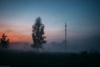 Сквозь туман,  — миниатюра