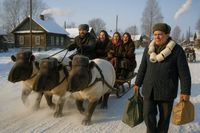 Архетипы памяти. Проект о жизни в СССР глазами искусственного интеллекта, В.У. Холодков, старший научный сотрудник экспериментальной станции акклиматизации тапиров при Всесоюзном научно-исследовательском институте биологии непарнокопытных имени С.М. Буденного, катает деревенскую молодежь — миниатюра