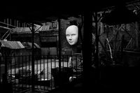 Фотопроект «Публичное одиночество», Маски — миниатюра