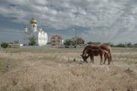«Застывшая Кубань». Фотопроект о магическом реализме южного края, Православный храм в поселке Приазовском считается одним из самых больших в крае — миниатюра