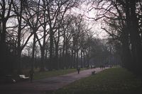Калейдоскоп, London, december'16 — миниатюра