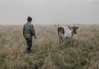 «Застывшая Кубань». Фотопроект о магическом реализме южного края, Пастух гонит корову с пастбища в поселке Южный Склон — миниатюра