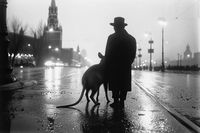 «Животные в темные времена». Визуальное исследование о том, как нейросети стирают границы «человеческого», Tiere in finsteren Zeiten [vertebrata] / Животные в темные времена [позвоночные] — миниатюра
