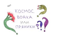 Вопросы, Космос, водка или пряники? — миниатюра