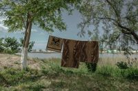 «Застывшая Кубань». Фотопроект о магическом реализме южного края, Весенняя сушка ковров в станице Голубицкой — миниатюра