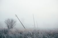 Сквозь туман,  — миниатюра