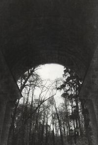 Облака и птицы: фотографии-хокку,  — миниатюра