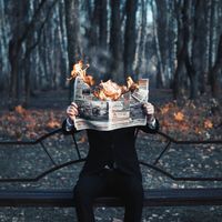 Невозможные фотографии,  — миниатюра