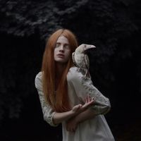 Невозможные фотографии, Покровители леса — миниатюра