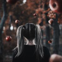 Невозможные фотографии,  — миниатюра