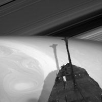 Cosmos, corable — миниатюра