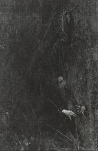 Облака и птицы: фотографии-хокку,  — миниатюра