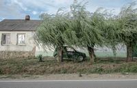 «Застывшая Кубань». Фотопроект о магическом реализме южного края, «Ока» в ивах на улице поселка Южный Склон — миниатюра