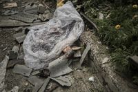 «Black days of Ukraine»: лето, когда началась война,  — миниатюра