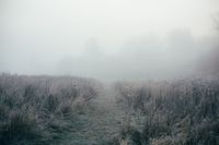 Сквозь туман,  — миниатюра