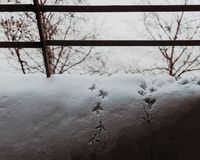 «Русь общажная»: фотоэссе о пространстве совместной жизни,  — миниатюра
