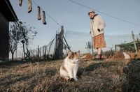 «Застывшая Кубань». Фотопроект о магическом реализме южного края, Татьяна у себя во дворе зимой. Зимы здесь очень теплые, иногда снега не бывает совсем — миниатюра