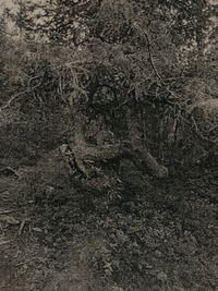 «Приходи не покидая»: фотопроект о воссоединении человека с природой и возвращении к себе на краю земли,  — миниатюра