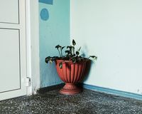 «Русь общажная»: фотоэссе о пространстве совместной жизни,  — миниатюра
