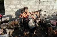 «Застывшая Кубань». Фотопроект о магическом реализме южного края, Галина с собаками, которых она спасла с улицы, во дворе своего частного собачьего приюта — миниатюра