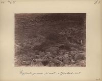«Приходи не покидая»: фотопроект о воссоединении человека с природой и возвращении к себе на краю земли,  — миниатюра