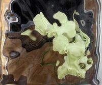 Through the Looking Glass,  — миниатюра