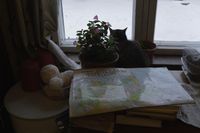 «Когда тебе тяжело, ты ко мне приезжай», Кот на подоконнике в гостиной — миниатюра
