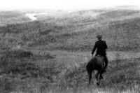 «Истории, рассказанные спиной». Фотовыставка о том, как тело говорит о человеке, Казак Валерка разминает коня в чистом поле. Близ хутора Сеньшин, Обливский район, Ростовская область, Россия, октябрь 2010 — Михаил Масленников (Творческий союз «НОГА») — миниатюра