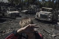 «Black days of Ukraine»: лето, когда началась война,  — миниатюра