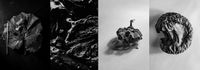 «Chemistry Art» Мариам Дудучавы: превращение химии в искусство, — миниатюра «Chemistry Art» Мариам Дудучавы: превращение химии в искусство, — миниатюра