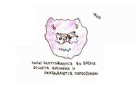 Во время, Часы запутываются во время отсчета времени и оказываются поросенком — миниатюра