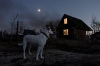 «Застывшая Кубань». Фотопроект о магическом реализме южного края, Полная луна над станицей — миниатюра