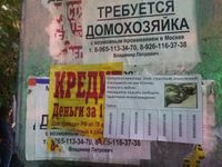 Объявления западных художников в Москве, Пикассо — миниатюра