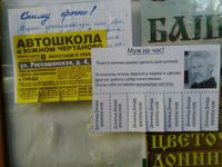 Объявления западных художников в Москве, Джадд — миниатюра