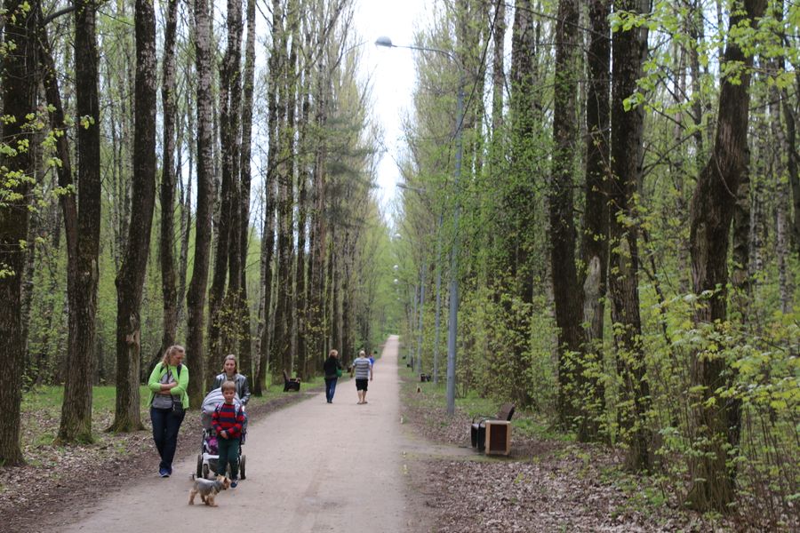 В разгар карантина люди гуляли по аллеям Тропарёвского парка.